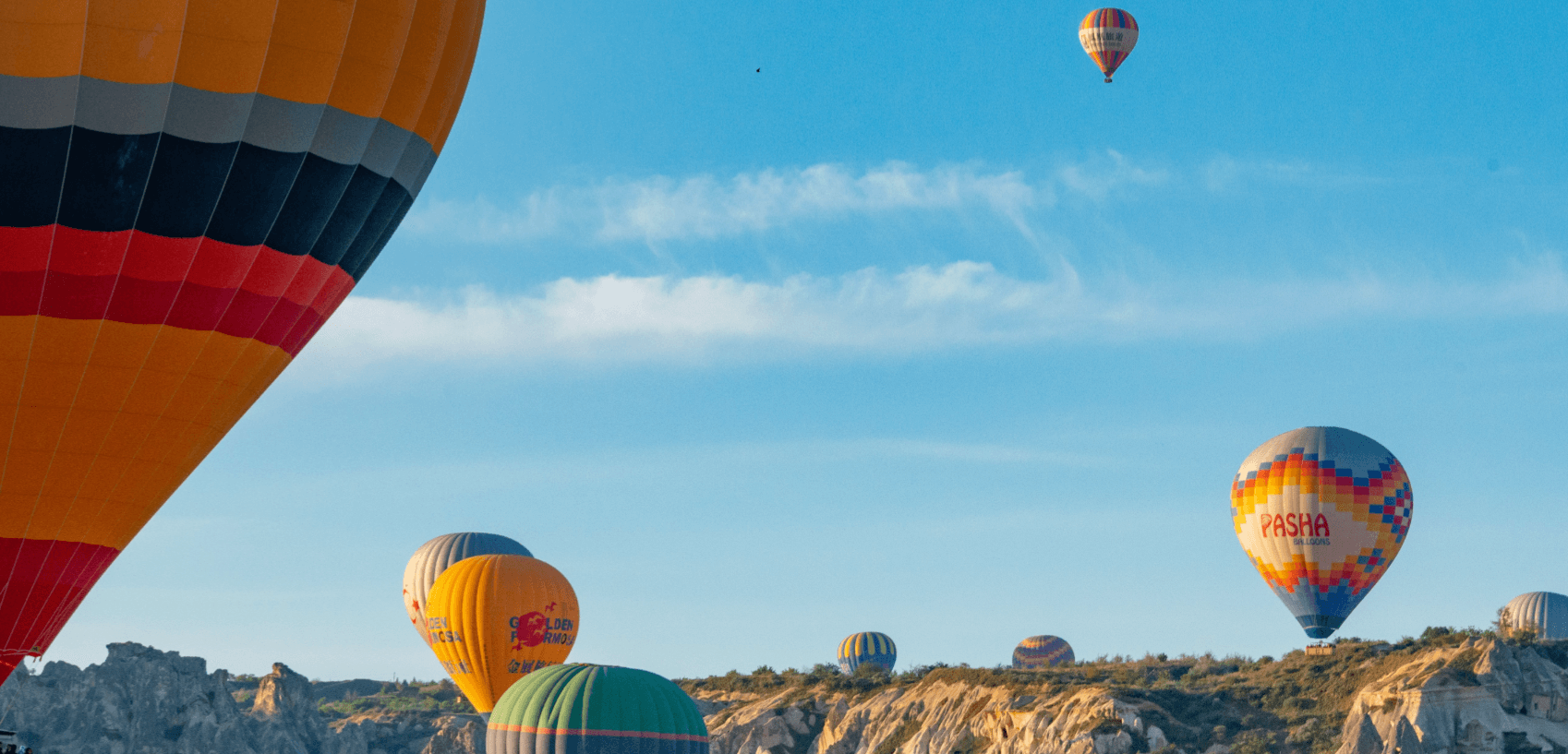 Hot air balloons floating over scenic landscape
